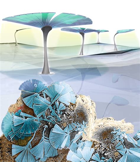 Some Pictures for Science 的图像结果