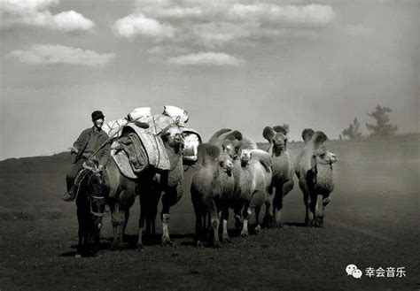 走西口最新素材