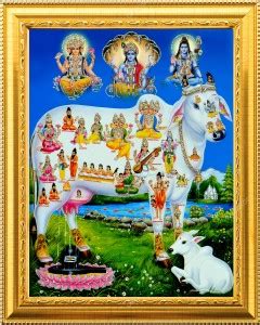 emofly Kamdhenu Cow God Religious Frame Price in India - Buy emofly ...