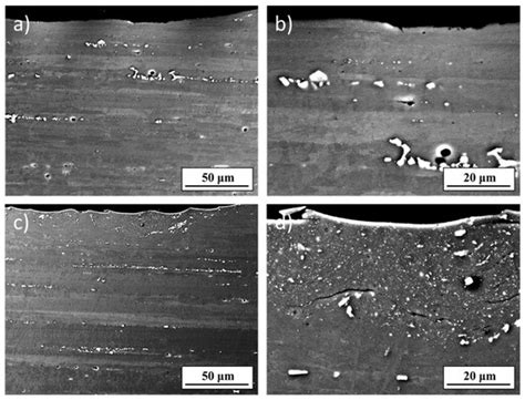 Effect of Severe Shot Peening on the Very-High Cycle Notch Fatigue of ...