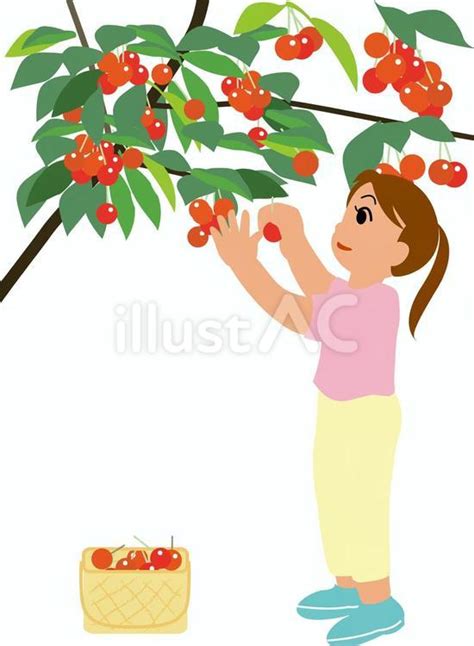 Image result for Acme Course Proposal Example
