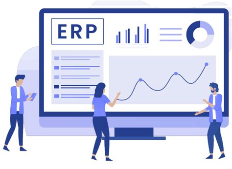Erp-consulting