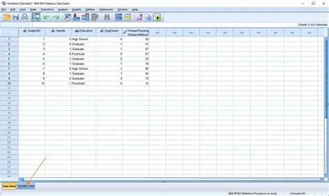 How to Import File in SPSS 的图像结果