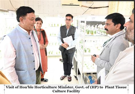 Dr YS Parmar University of Horticulture & Forestry