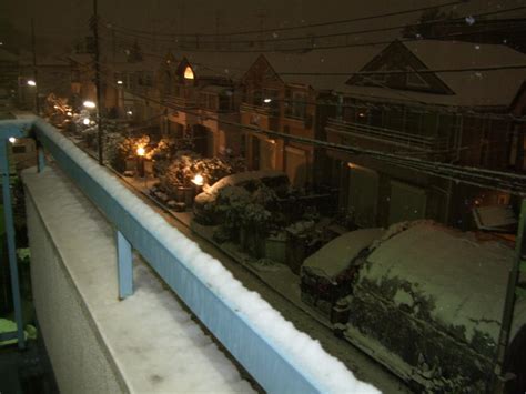 2011年2月14日！バレンタインデーは大雪景色～降り過ぎです！ | 多肉うきうき！Life