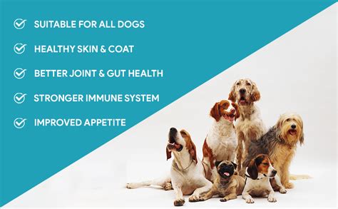 Buy Goofy Tails Chicken Bone Broth for Dogs 300ml (100ml X 3 Pack ...