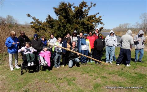 Image result for Tree Swallow Boxes