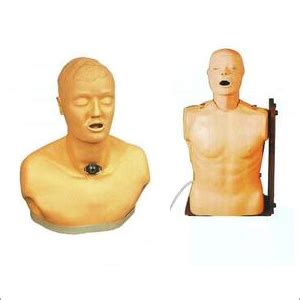 First Aid Skills Training Models 7 Manufacturer, Exporter, First Aid ...