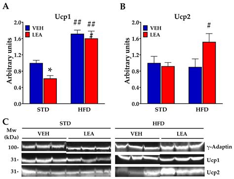 Administration of Linoleoylethanolamide Reduced Weight Gain ...
