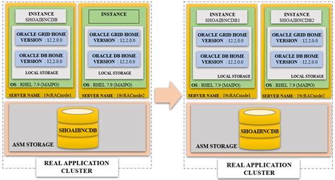 Oracle RAC Database 的图像结果