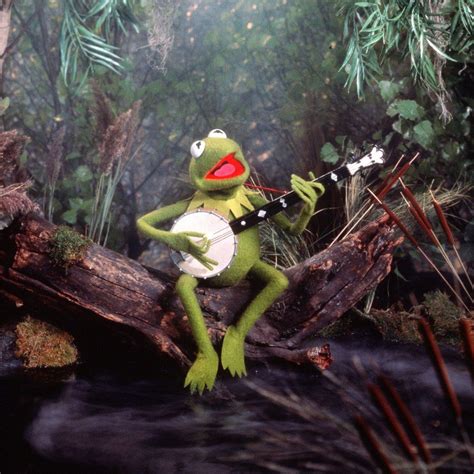 Image result for Rainbow Connection Banjo Lesson