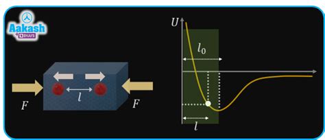 elasticity in physics: Definition, Types and Importance | AESL