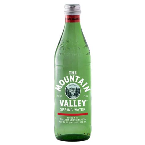 Buy ain Valley, Spring Water, Glass Bottle, 16.9 ounces (Pack of 12 ...