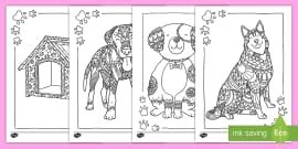 Dog Fact File For Kids - All About Dogs - Twinkl