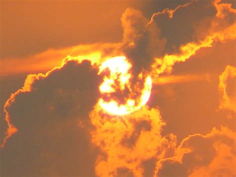 Isla de Vieques Images - Vacation Pictures of Isla de Vieques, Puerto ...