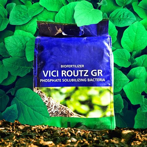 Koppert Vici Routz GR – Matihaat - Organic Agriculture Inputs