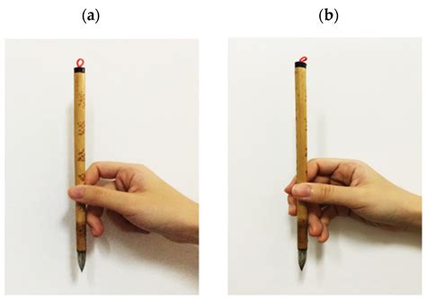 Effects of Different Finger Grips and Arm Positions on the Performance ...