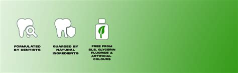 Buy Bentodent Toothpaste - Natural Toothpaste For Entire Family ...