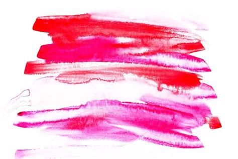 Rose Color 的图像结果