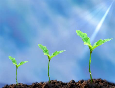 Image result for Native Reserve