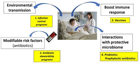 Microbiome-Related and Infection Control Approaches to Primary and Secondary Prevention of ...