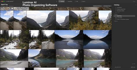 Image result for Photo Sorting Software