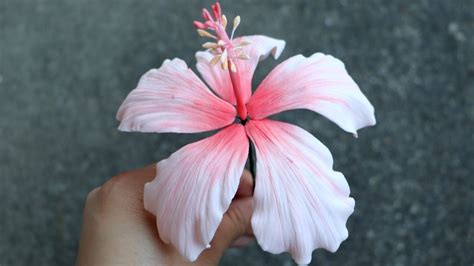 Fondant Hibiscus Flower Tutorial 的图像结果