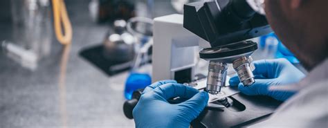 Life Science Experiments 的图像结果