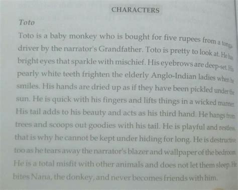 describe Toto the monkey in the chapter the adventure of toto ...