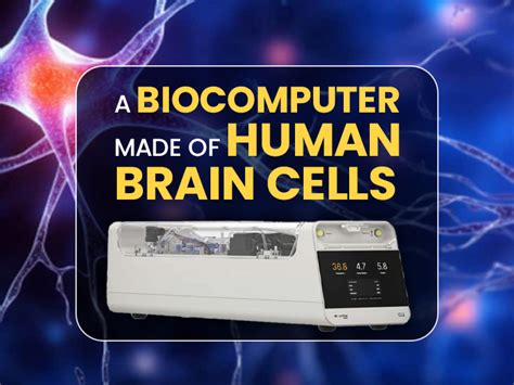 Researchers creates world’s first ‘biological computer’ using human ...