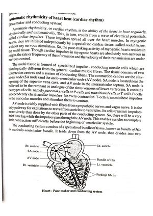Skeletal muscle and muscle contraction - Zoology Animal physiology ...