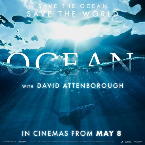 Ocean with David Attenborough - Special Q&A Screening, Lido Cinemas ...