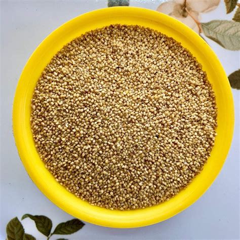 FoxTail Millet Rice-Korra Biyyam – Vintage Farmers