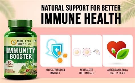 Buy Himalayan Organics Plant based Immunity Booster with 25 ...