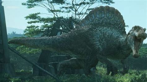 Spinosaurus Becomes the First Known Swimming Dinosaur