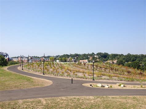 Oyster Shell Park — Tavella Design Group