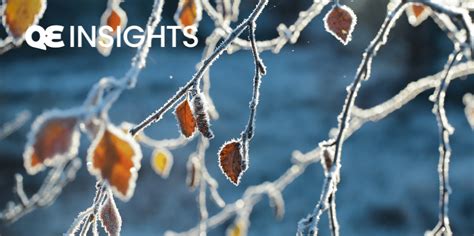 Winter term challenges: The best ways to tackle pupil behaviour and ...