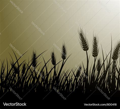 Corn Field Vector 的图像结果
