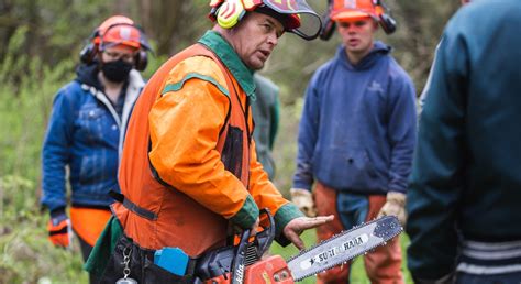 Image result for Logging Shows