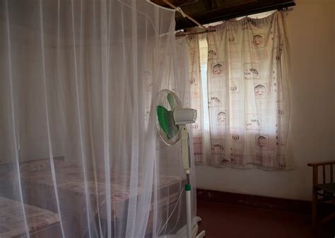 BWANA TEMBO SAFARI CAMP (Murchison Falls National Park) - Campground ...