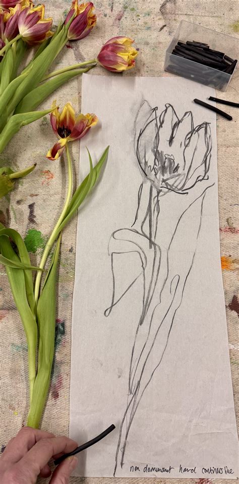 Image result for Fun Drawing Tricks