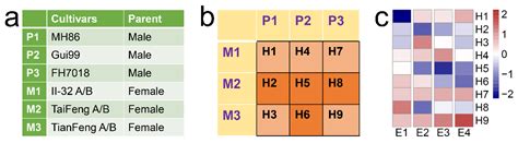 Transcriptome Analyses Indicate Significant Association of Increased ...