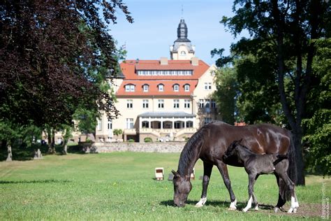 Amber Castle & Amber Land Wendorf