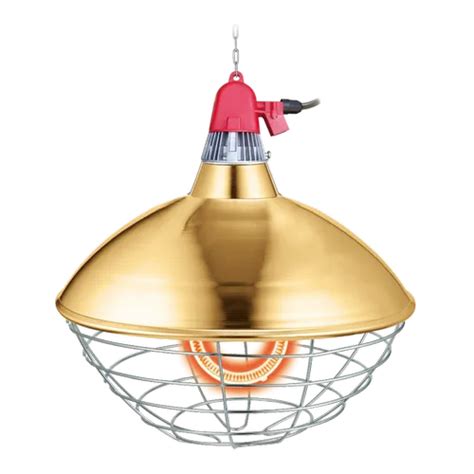 Image result for What Is Panel Brooder