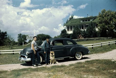 Is 50 Old Or Young at Joseph Shupe blog