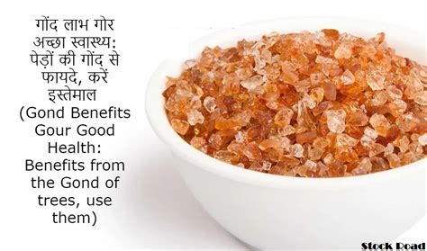 गोंद लाभ के लिये अच्छा स्वास्थ्य: पेड़ों की गोंद से फायदे, करें ...