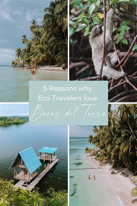 5 Reasons why Eco Travelers love Bocas del Toro - Sun Chasing Travelers | Bocas del toro, Panama ...
