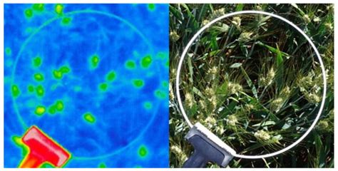 Remote Sensing | Special Issue : High-Resolution Thermal Imaging for ...