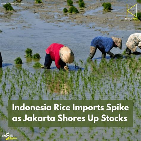 Imports Of Indonesia