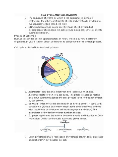 Cell Cycle and Cell Division | Download Free PDF | Meiosis | Mitosis